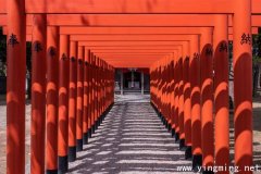 岳麓區(qū)咨詢企業(yè)建站如何選擇？